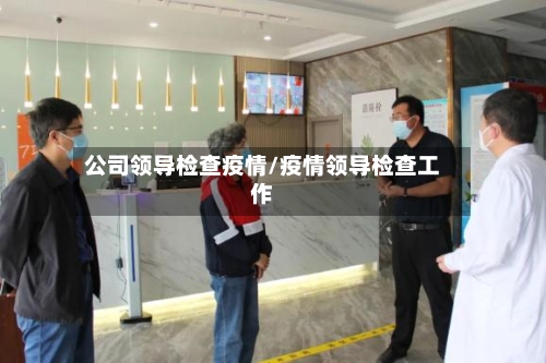 公司领导检查疫情/疫情领导检查工作-第2张图片