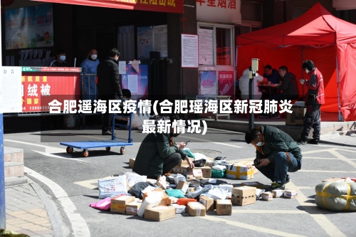合肥遥海区疫情(合肥瑶海区新冠肺炎最新情况)-第2张图片