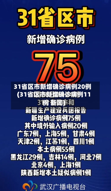 31省区市新增确诊病例20例(31省区市新增确诊病例11例 新闻)-第2张图片
