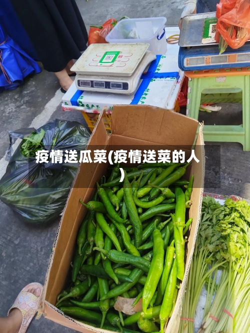 疫情送瓜菜(疫情送菜的人)-第3张图片