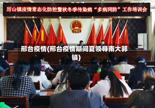 邢台疫情(邢台疫情期间夏领导南大郭镇)-第2张图片