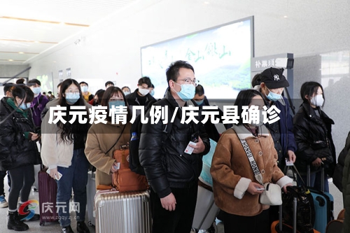 庆元疫情几例/庆元县确诊-第2张图片