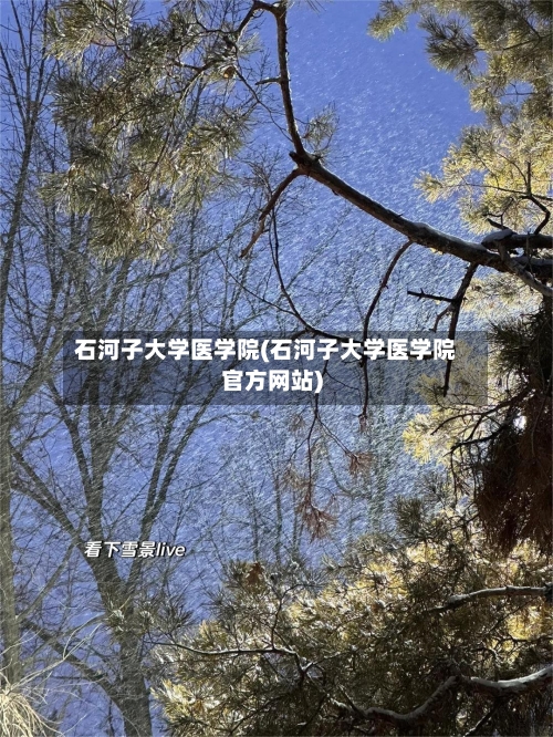 石河子大学医学院(石河子大学医学院官方网站)-第2张图片