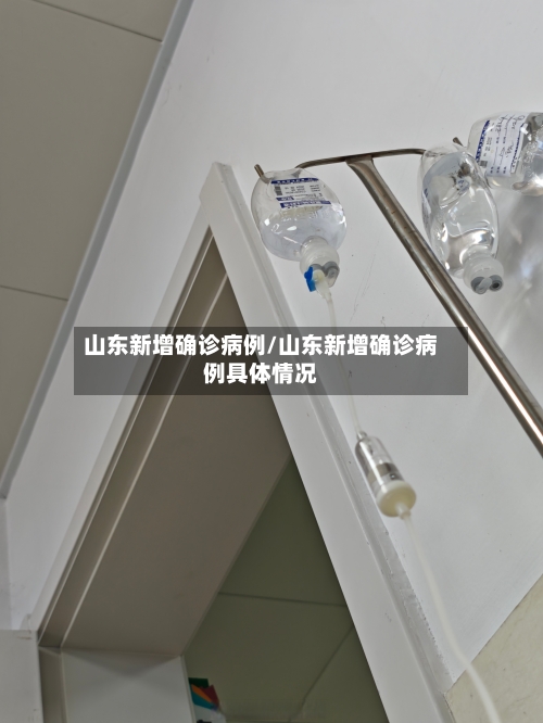 山东新增确诊病例/山东新增确诊病例具体情况-第2张图片
