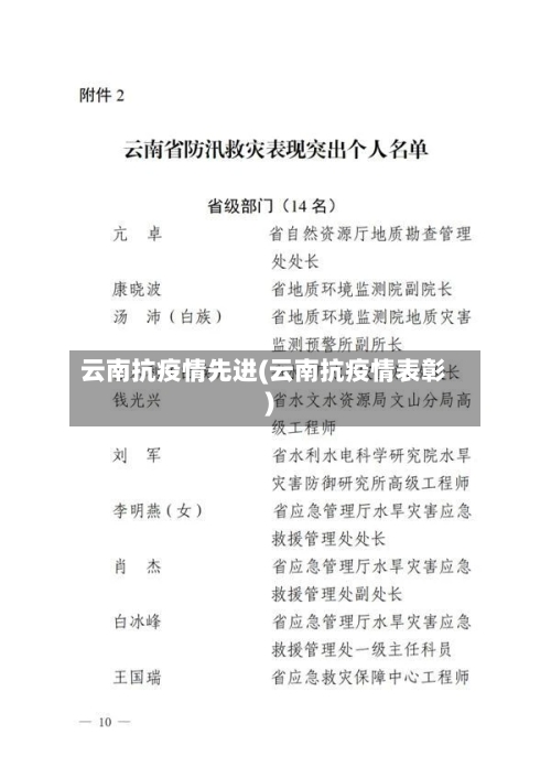 云南抗疫情先进(云南抗疫情表彰)-第2张图片