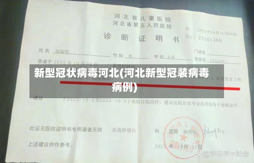 新型冠状病毒河北(河北新型冠装病毒病例)