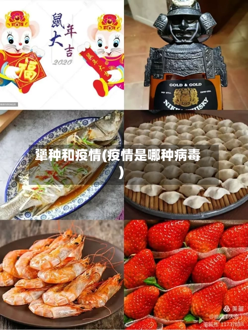 犟种和疫情(疫情是哪种病毒)
