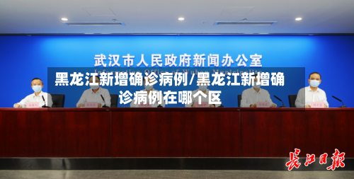 黑龙江新增确诊病例/黑龙江新增确诊病例在哪个区