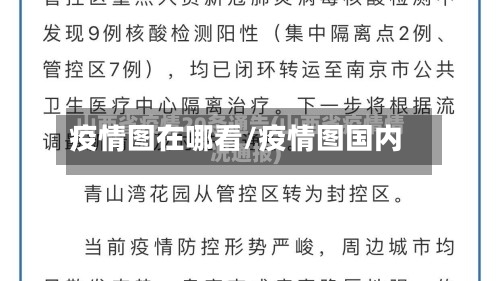 疫情图在哪看/疫情图国内-第2张图片