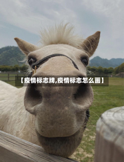 【疫情标志牌,疫情标志怎么画】