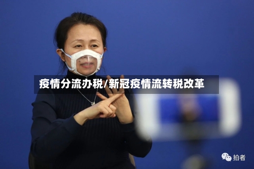 疫情分流办税/新冠疫情流转税改革
