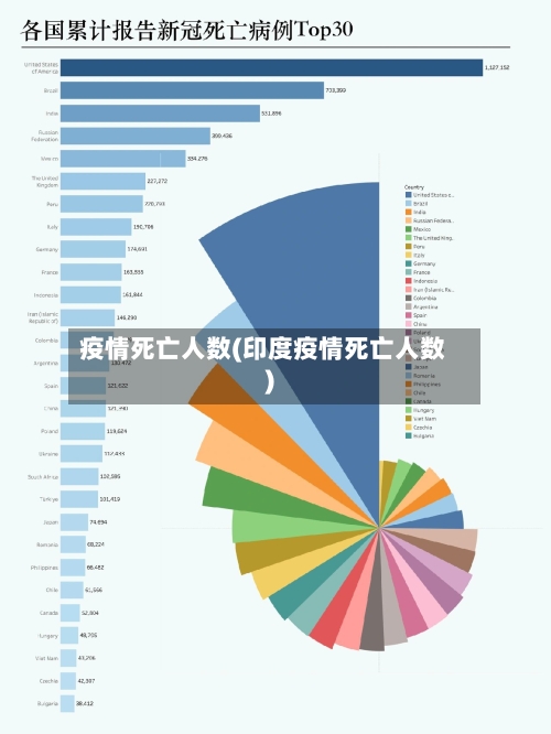 疫情死亡人数(印度疫情死亡人数)-第2张图片