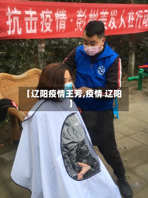 【辽阳疫情王芳,疫情 辽阳】-第2张图片