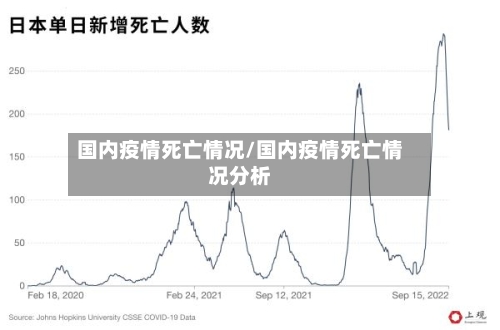 国内疫情死亡情况/国内疫情死亡情况分析