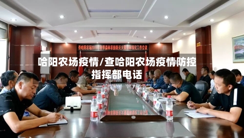 哈阳农场疫情/查哈阳农场疫情防控指挥部电话