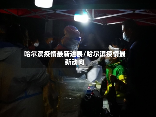 哈尔滨疫情最新进展/哈尔滨疫情最新动向-第2张图片
