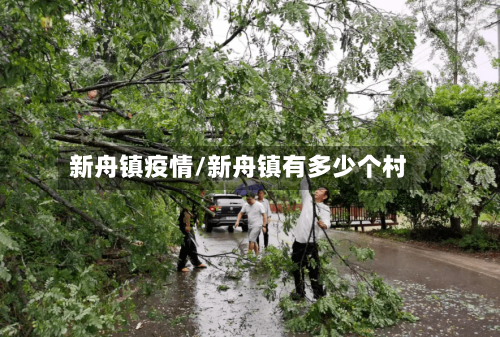 新舟镇疫情/新舟镇有多少个村-第3张图片