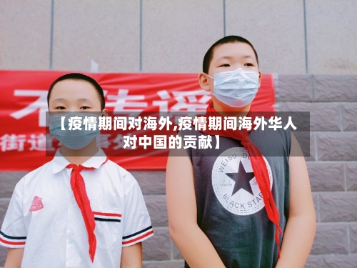 【疫情期间对海外,疫情期间海外华人对中国的贡献】