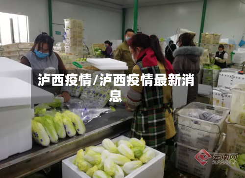 泸西疫情/泸西疫情最新消息-第2张图片