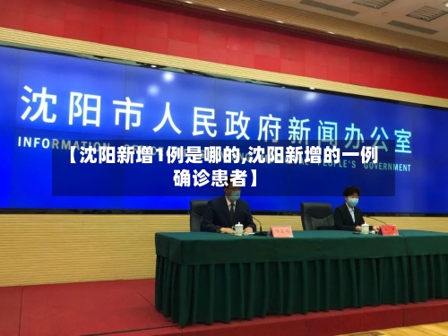 【沈阳新增1例是哪的,沈阳新增的一例确诊患者】-第2张图片