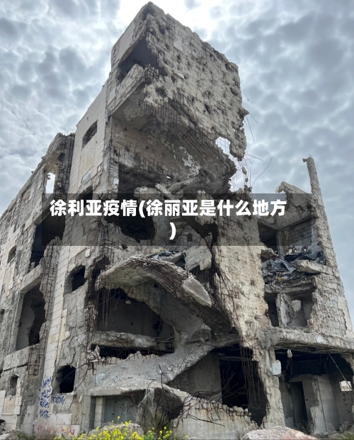 徐利亚疫情(徐丽亚是什么地方)