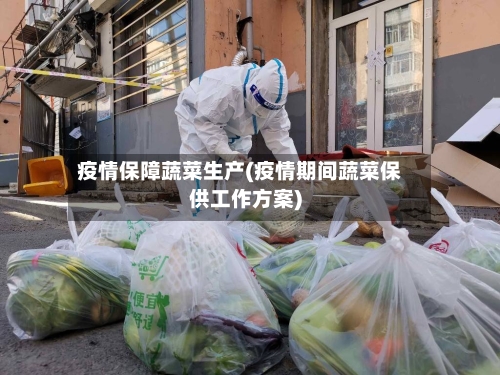疫情保障蔬菜生产(疫情期间蔬菜保供工作方案)-第2张图片