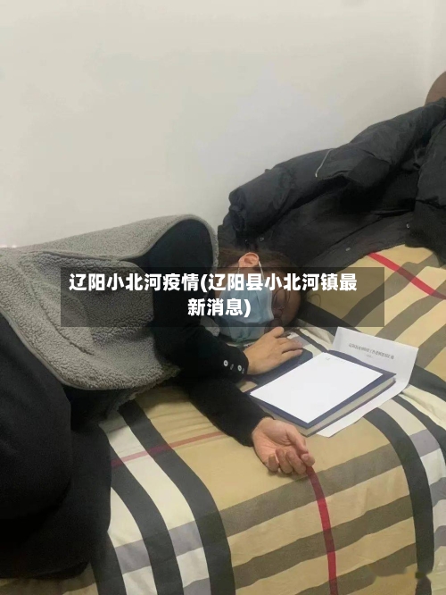 辽阳小北河疫情(辽阳县小北河镇最新消息)-第2张图片