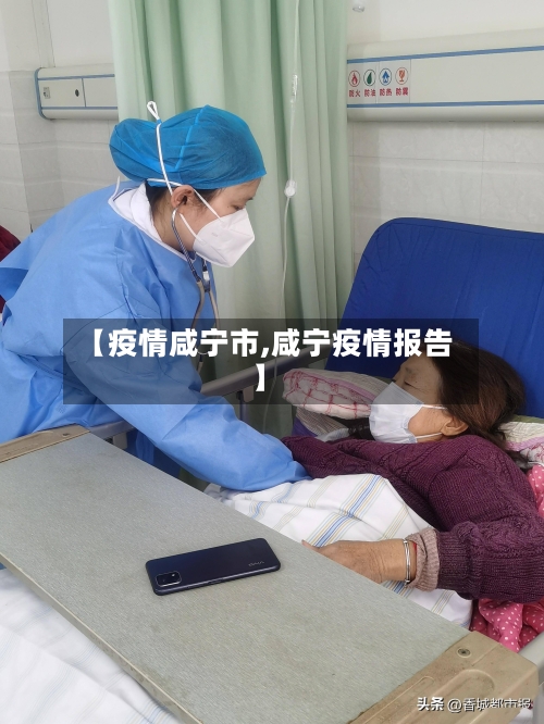 【疫情咸宁市,咸宁疫情报告】-第3张图片