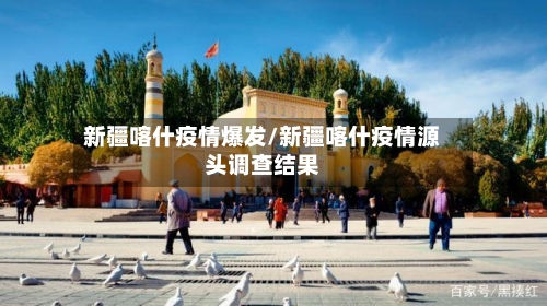 新疆喀什疫情爆发/新疆喀什疫情源头调查结果-第2张图片