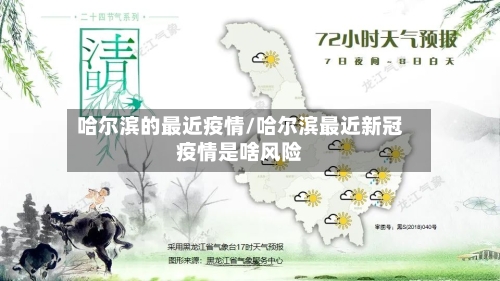 哈尔滨的最近疫情/哈尔滨最近新冠疫情是啥风险-第3张图片