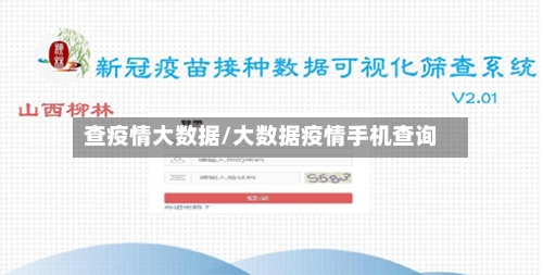 查疫情大数据/大数据疫情手机查询-第2张图片