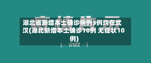 湖北省新增本土确诊病例3例均在武汉(湖北新增本土确诊10例 无症状10例)-第2张图片