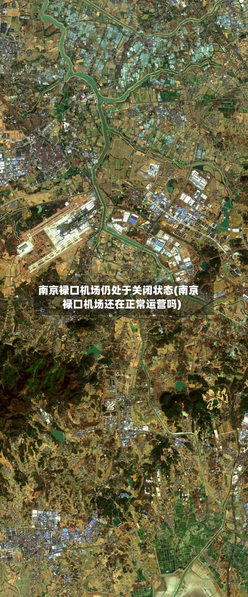 南京禄口机场仍处于关闭状态(南京禄口机场还在正常运营吗)-第2张图片