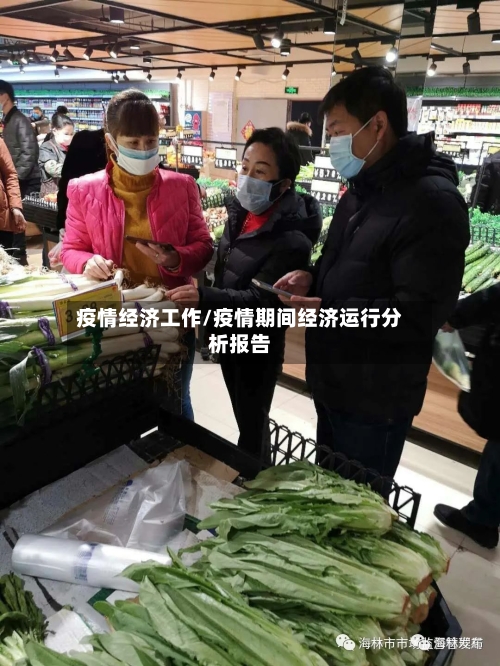 疫情经济工作/疫情期间经济运行分析报告-第2张图片