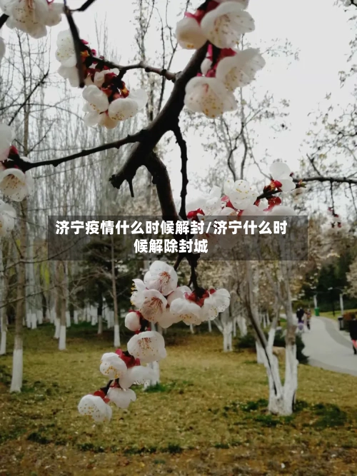 济宁疫情什么时候解封/济宁什么时候解除封城