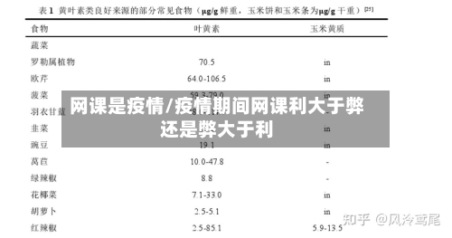 网课是疫情/疫情期间网课利大于弊还是弊大于利