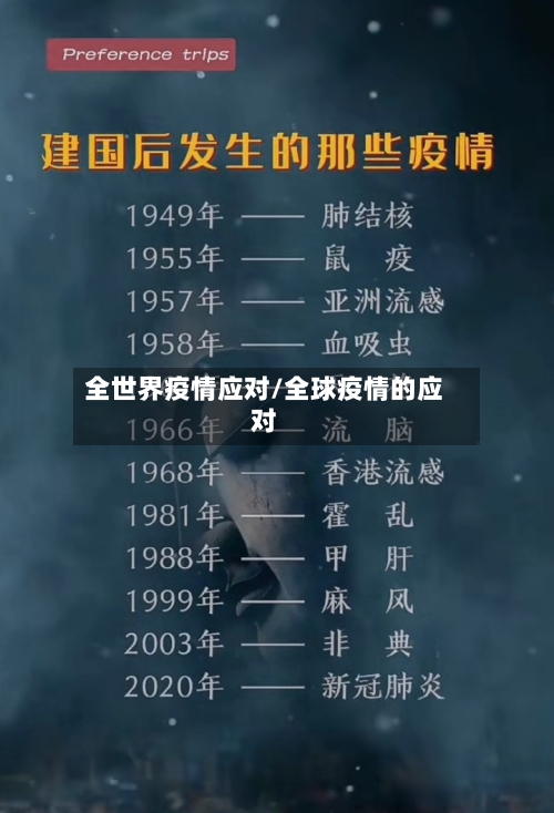 全世界疫情应对/全球疫情的应对