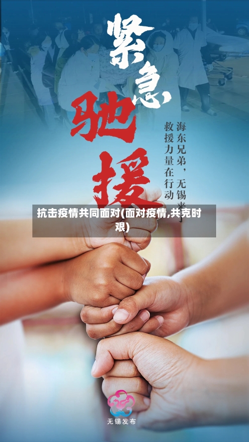 抗击疫情共同面对(面对疫情,共克时艰)-第3张图片