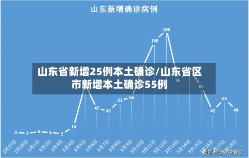 山东省新增25例本土确诊/山东省区市新增本土确诊55例