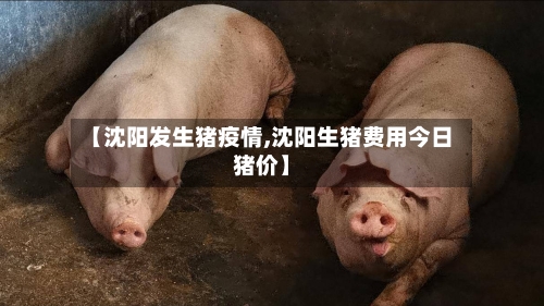 【沈阳发生猪疫情,沈阳生猪费用今日猪价】