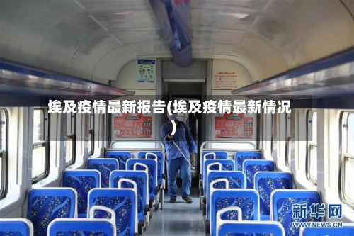 埃及疫情最新报告(埃及疫情最新情况)-第2张图片
